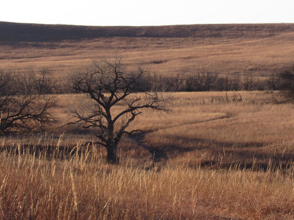 November Walk in Flint&nbsp;Hills