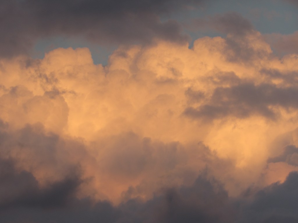 Stars Shine Overhead