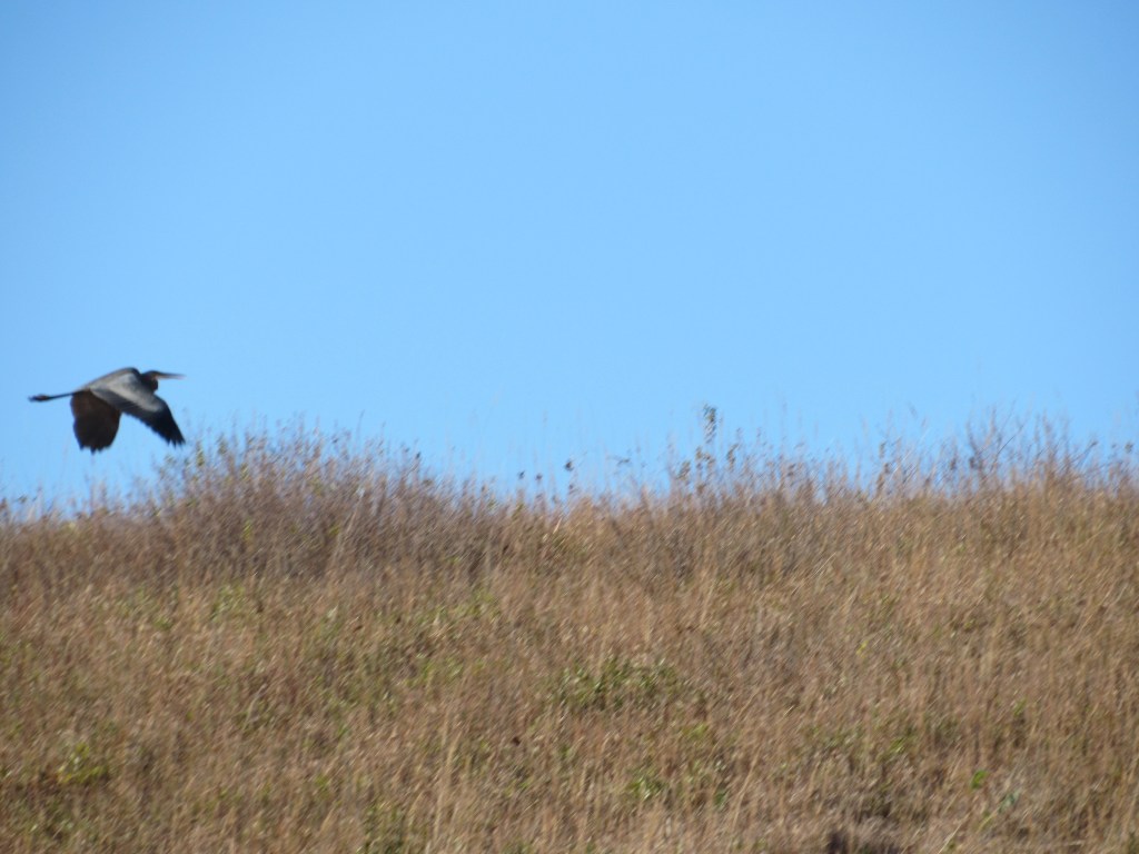 Guess I am A Public&nbsp;Person