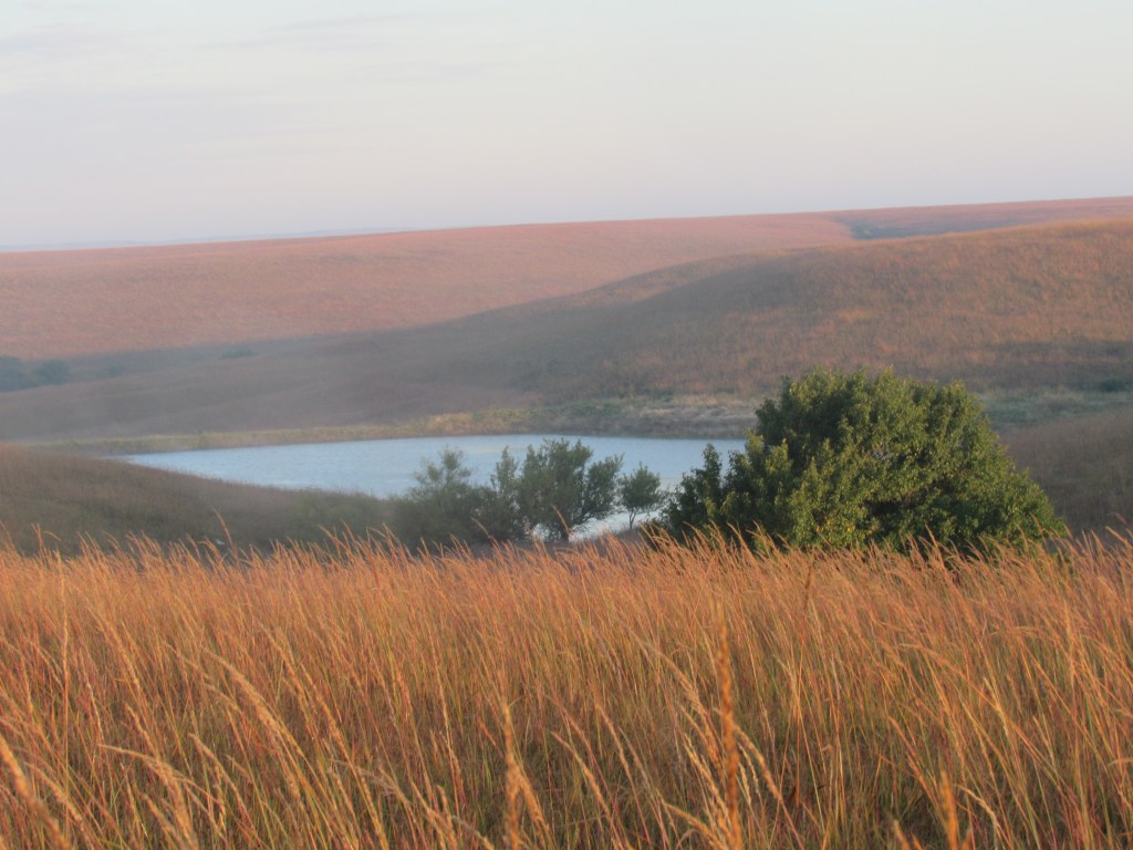 The Far Pond And&nbsp;Beyond