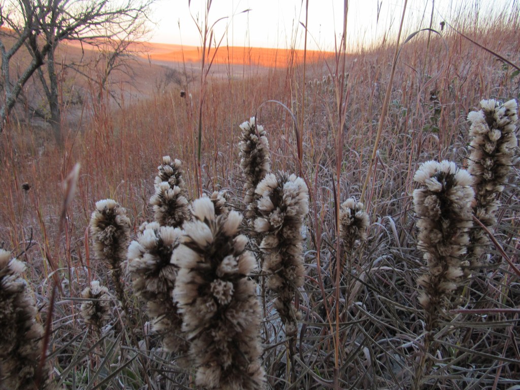 In A Still&nbsp;Silence