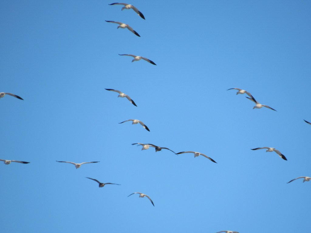 This Place Is Not About&nbsp;Me