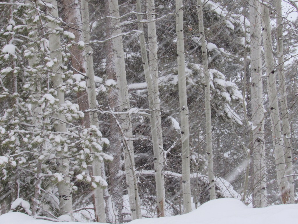 When Winter Is&nbsp;Winter