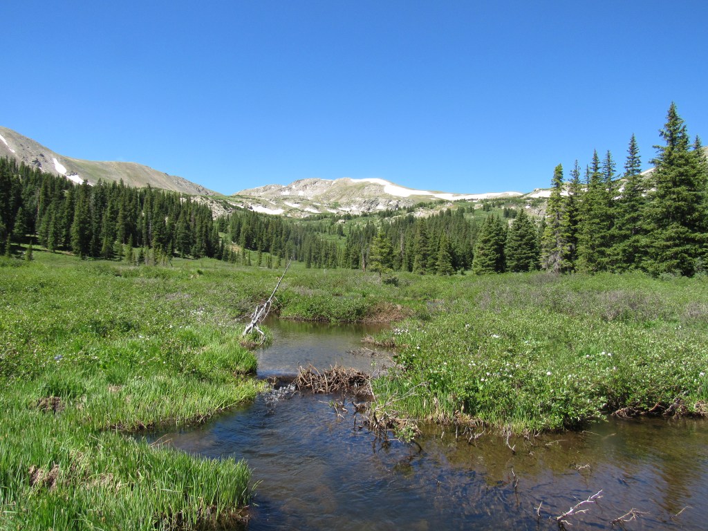 Let The Wind Keep&nbsp;Blowing