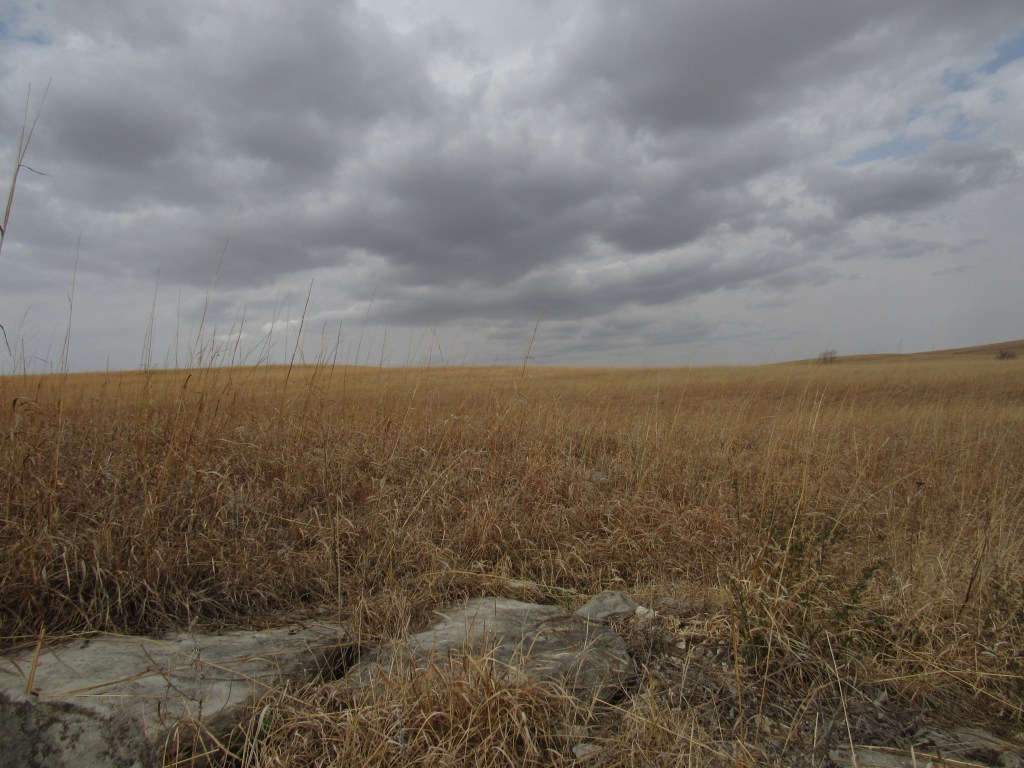 The Wind Comes Over The&nbsp;Hills