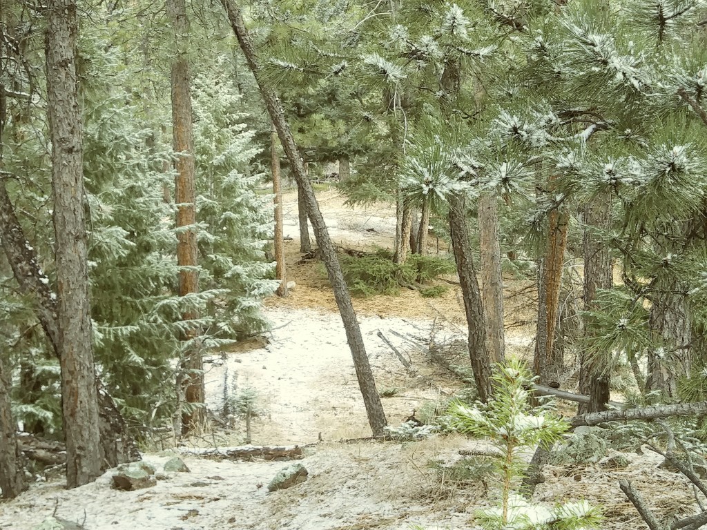 My Spot of&nbsp;Solitude