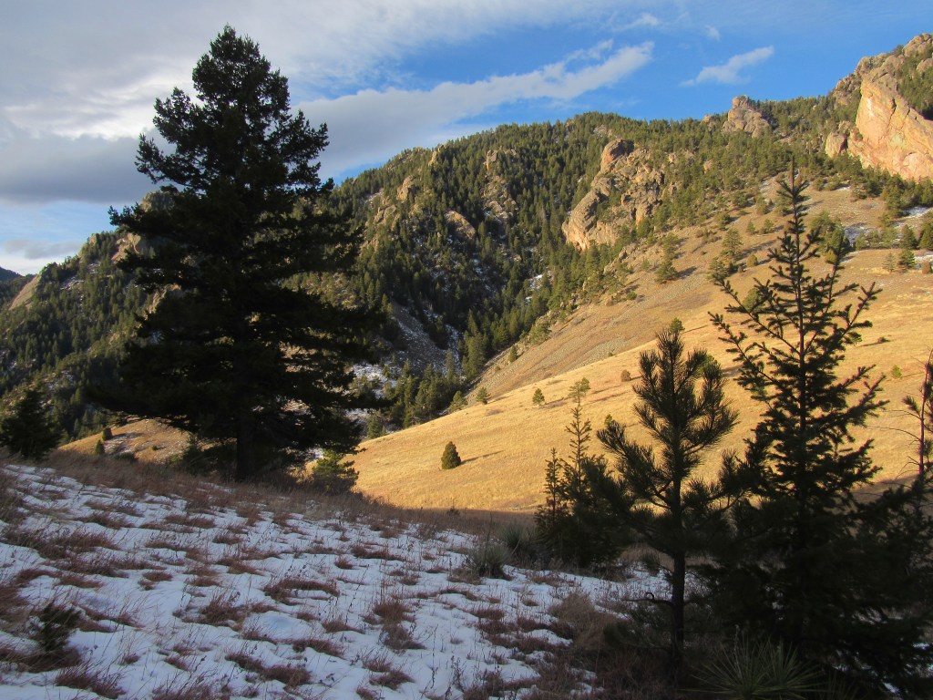 Sitting In Mountain&nbsp;Shade