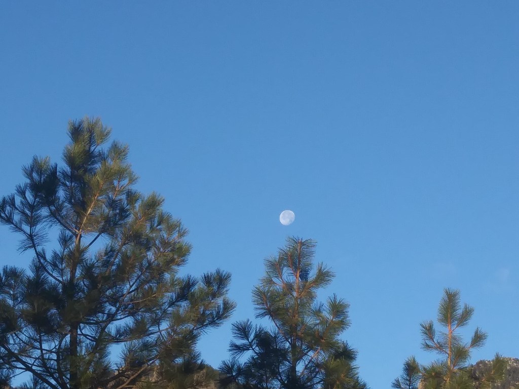 I Follow My&nbsp;Shadow