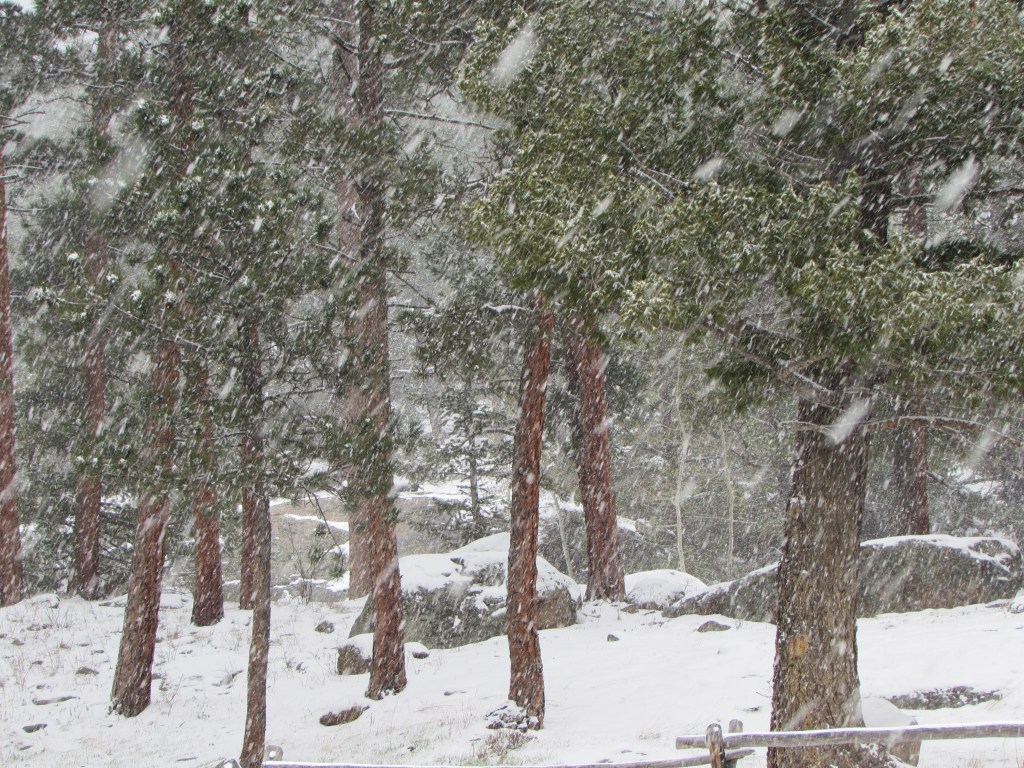 Snow Is In The&nbsp;Air