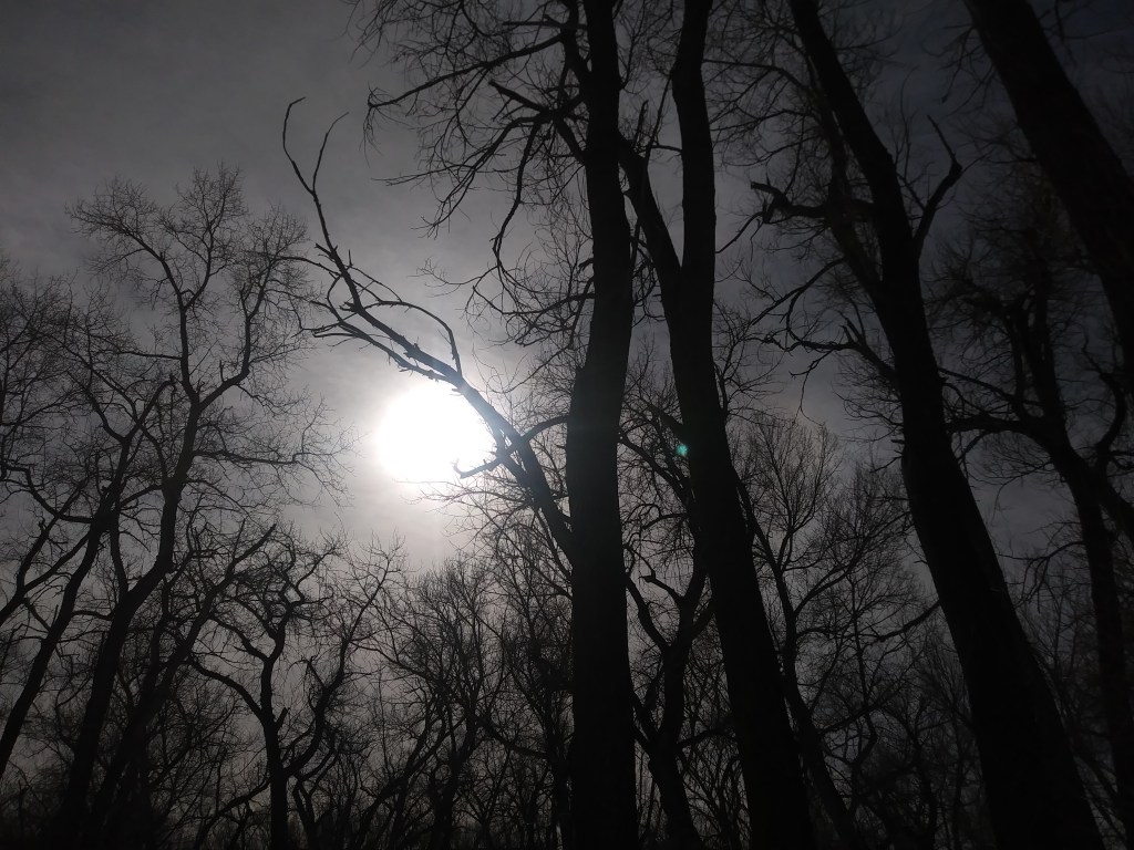 Sometimes The Snow Lies A Long&nbsp;Time