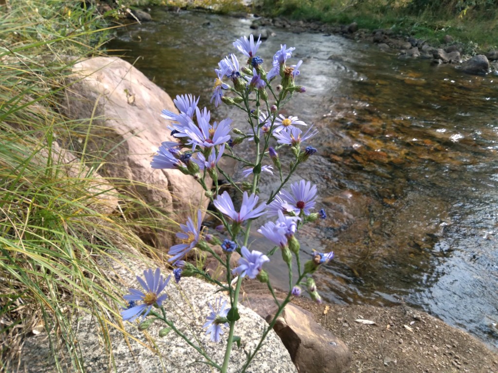 September’s Not A&nbsp;Stop