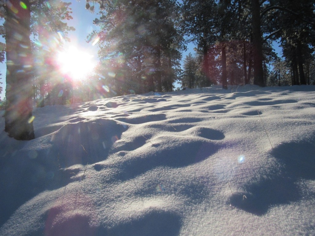 I Walk In Powdery Snow