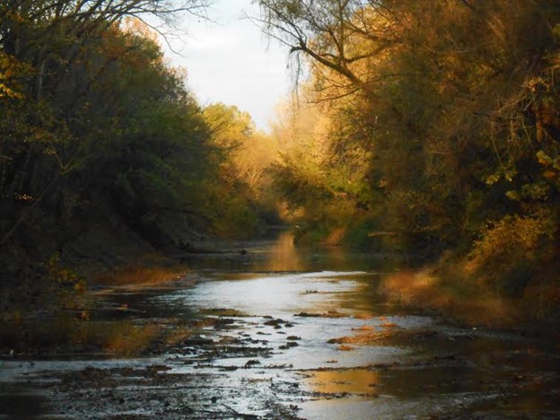 Flat Rocks And&nbsp;Ripples