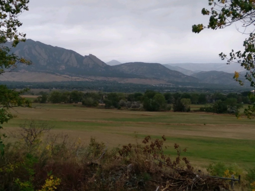 Sitting In Light Rain