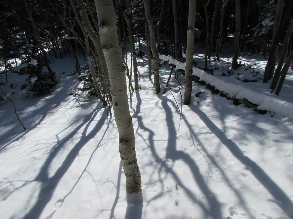 A Trail No One&nbsp;Travels