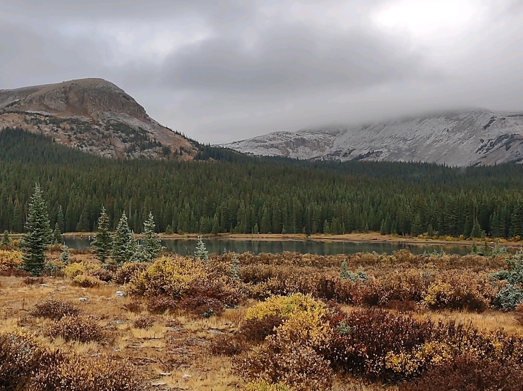 I Will Go To Find A&nbsp;Wild