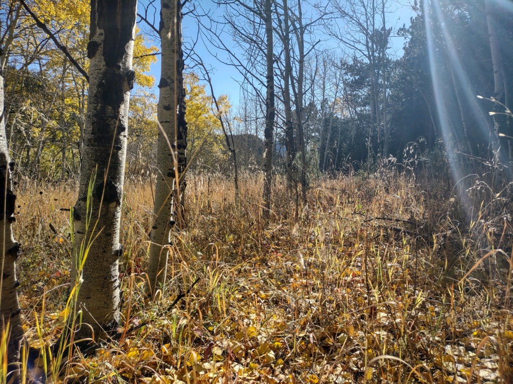 It’s Getting Toward Late&nbsp;October