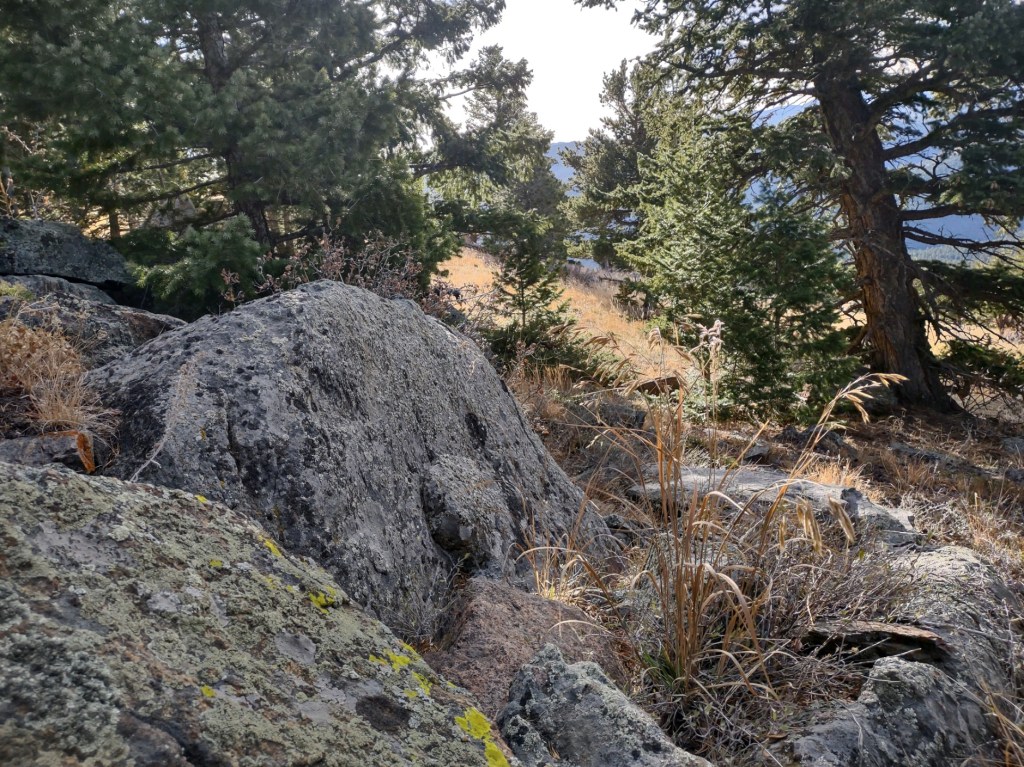 To Be The Only&nbsp;One