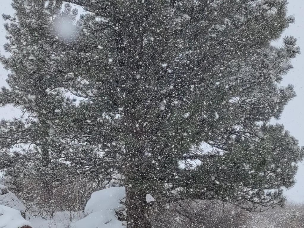 Snow Falling Like Time&nbsp;Passing