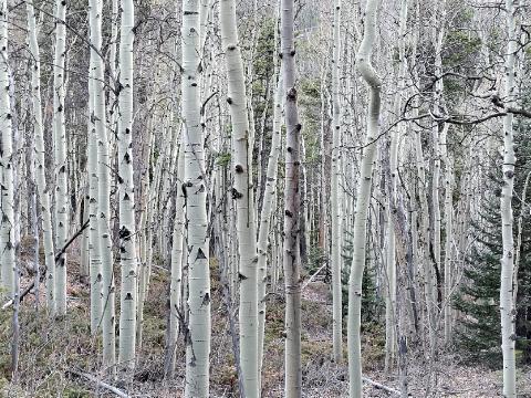 It Is The First Snow Of The&nbsp;Season