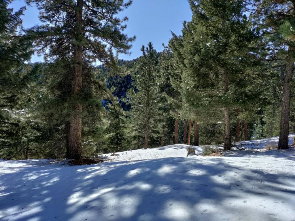 When I Sit&nbsp;Alone