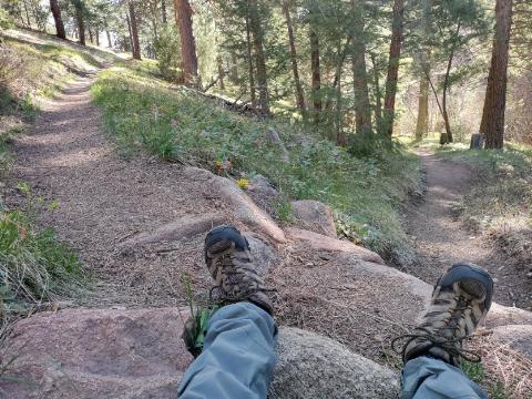 Sitting In A Mountain&nbsp;Breeze