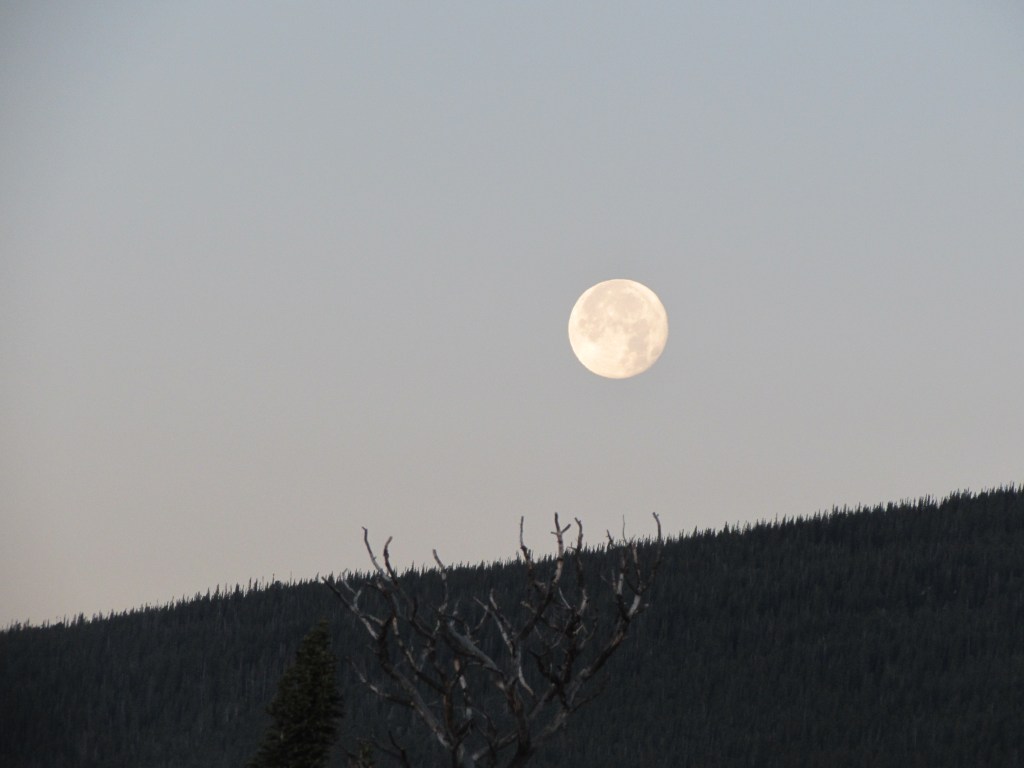 Full Moon On My&nbsp;Shoulder