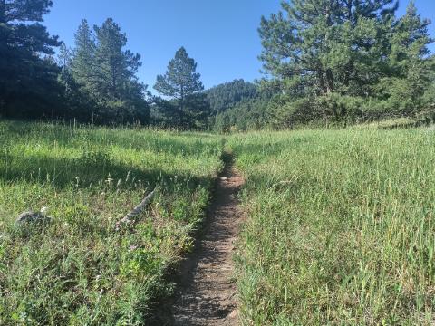 Sitting Off A&nbsp;Trail