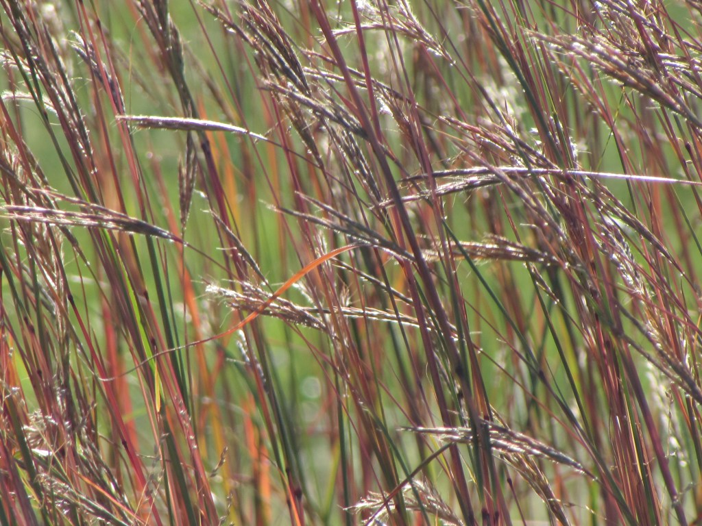 A Quiet Early Fall&nbsp;Morning