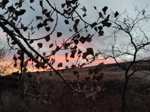 Out In Late&nbsp;Autumn