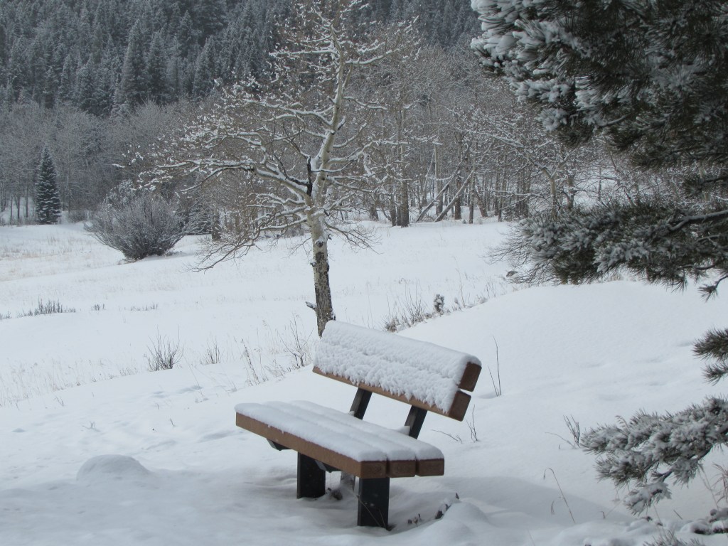 Sitting On A Snowy&nbsp;Bench