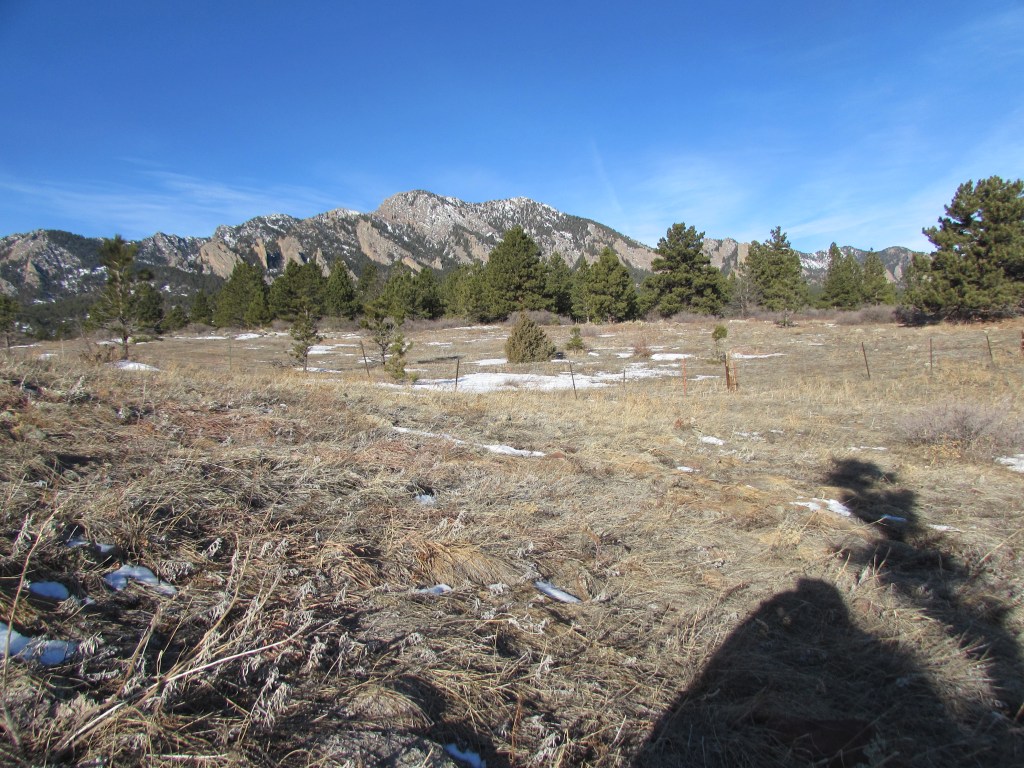 Where The Prairie Meets the&nbsp;Pine