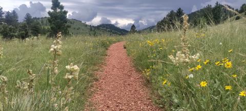 A Foothills Path
