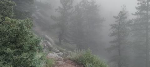 There Is A&nbsp;Silence