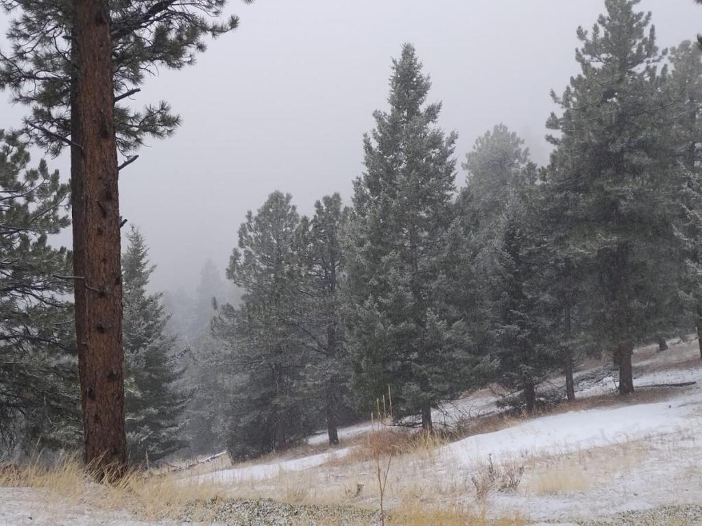 Sitting In A March&nbsp;Snow