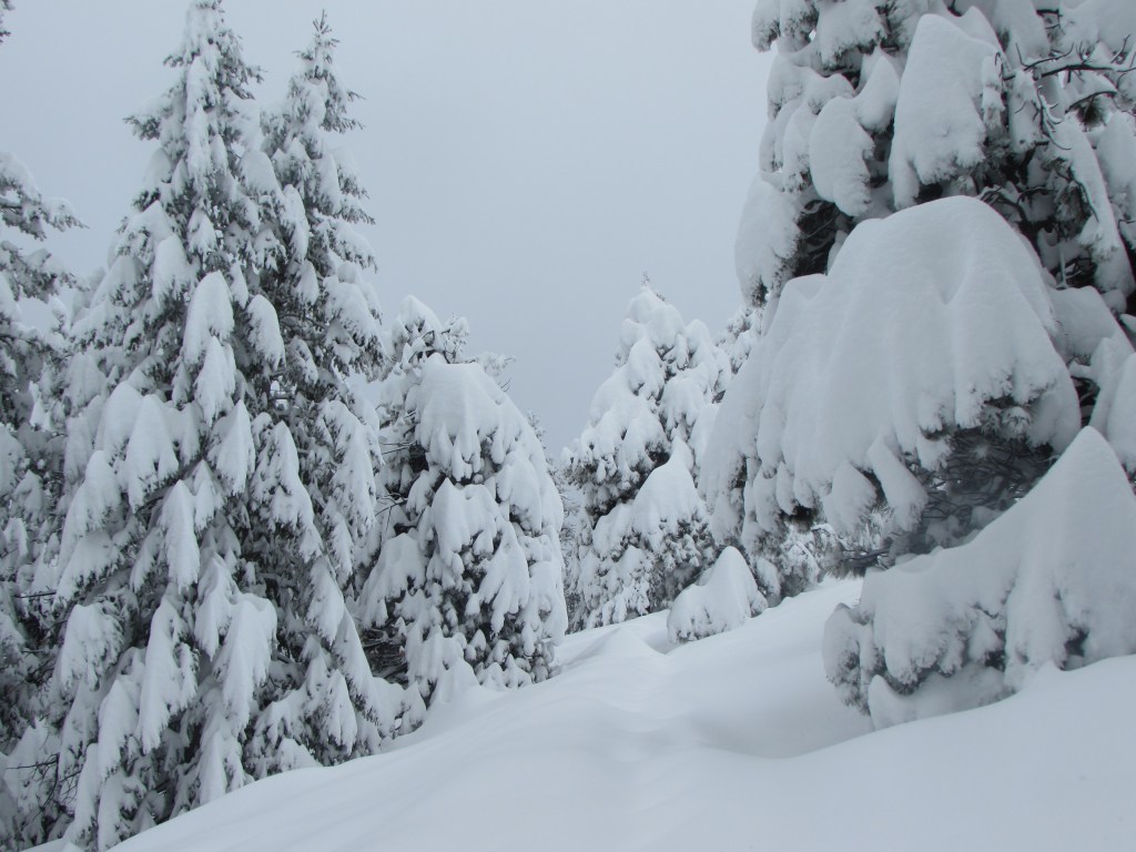 Snow Is In The&nbsp;Wind