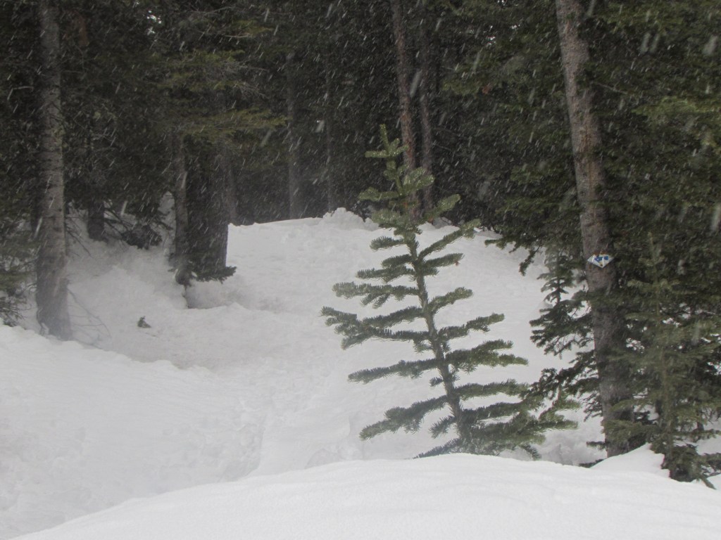 Mountains Shrug It&nbsp;Off