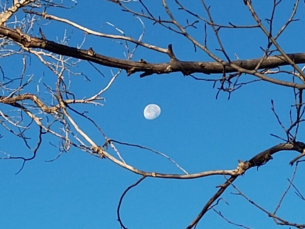 Autumn As It&nbsp;Passes