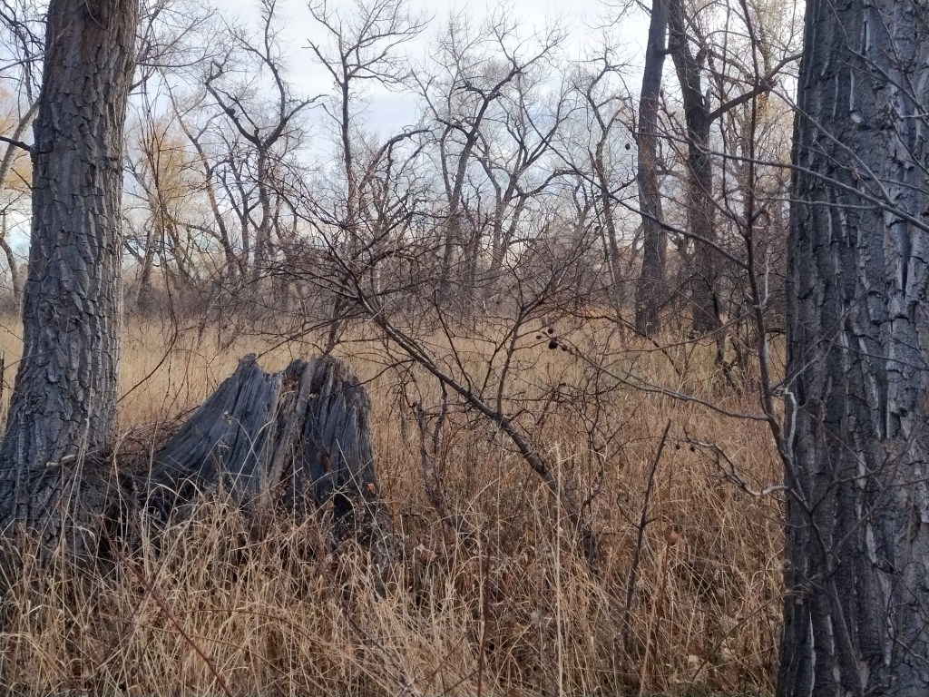 Warm Days of&nbsp;November