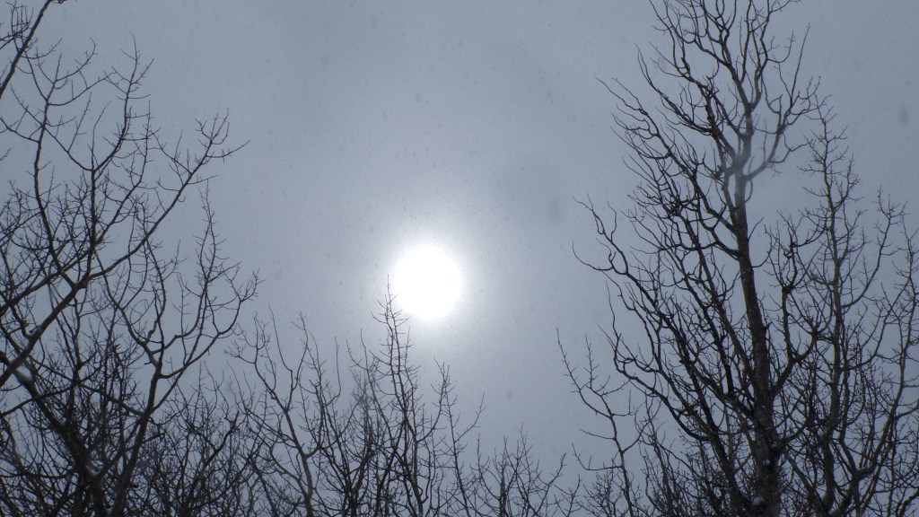 Kind Of a Strange Light